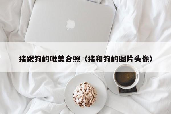 猪跟狗的唯美合照（猪和狗的图片头像）