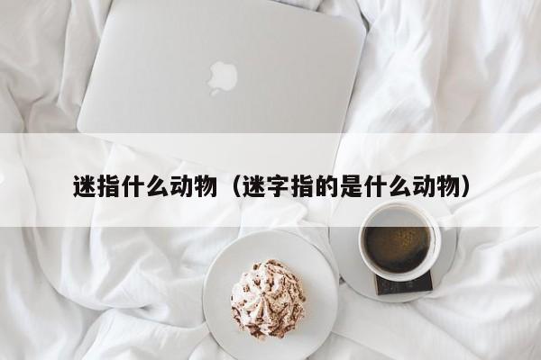 迷指什么动物（迷字指的是什么动物）